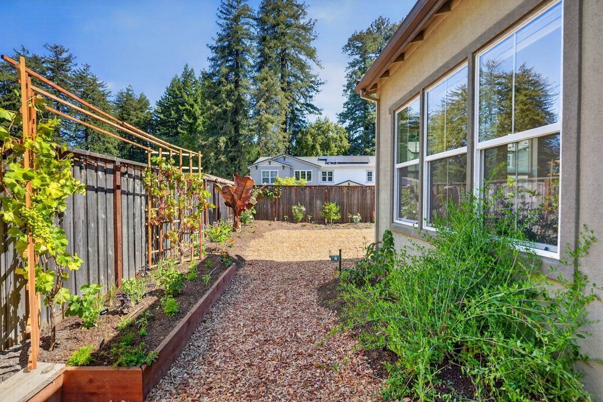 After: the side yard with raised beds, grape vines on a trellis, a mulch path and planted borders along the house